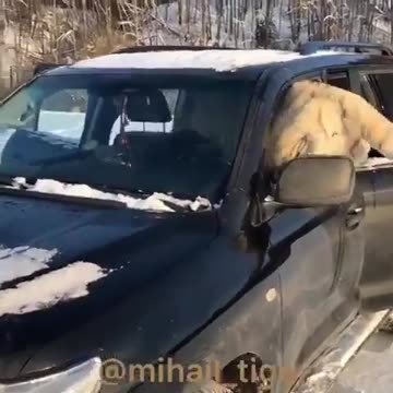 Meanwhile in Russia