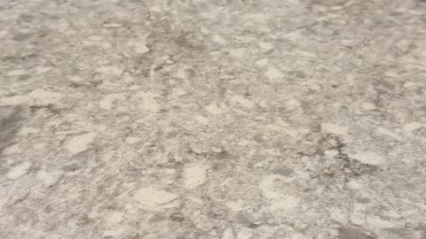 Pepper in the Halloween Spirit