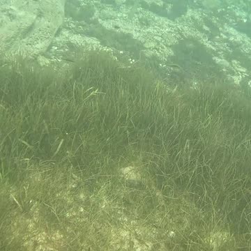 Any Day Snorkeling Is A Good Day!!