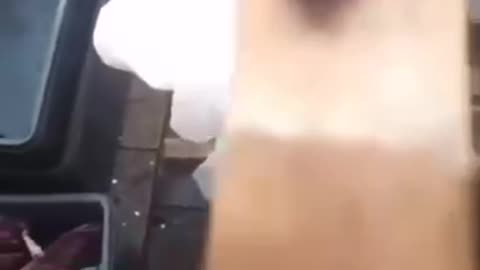 O açaí com papel higiênico em Manaus