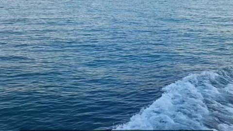 Daily Horoscope | Cancer 🌟