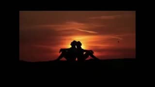 ""D"Returned ep 651 to 700 .mp4