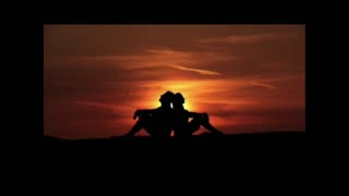 ""D"Returned ep 651 to 700 .mp4