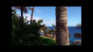 ""D"Returned ep 651 to 700 .mp4