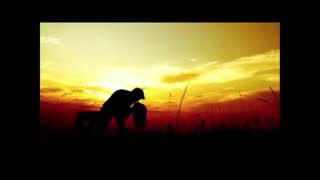 ""D"Returned ep 651 to 700 .mp4