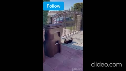 "Fully Funny Moments: The Hilarious Short Clips You Can't Miss!"