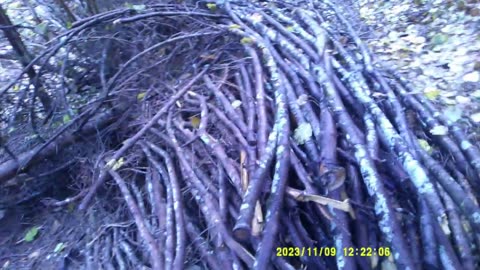 LEGNA SPICCIA (9|10 Novembre 2023)