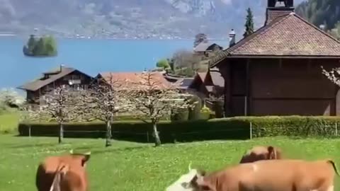 Woe Day 68. I am in the ark. Waiting for GOD to open the Door for a spring/summer Pentecost rapture