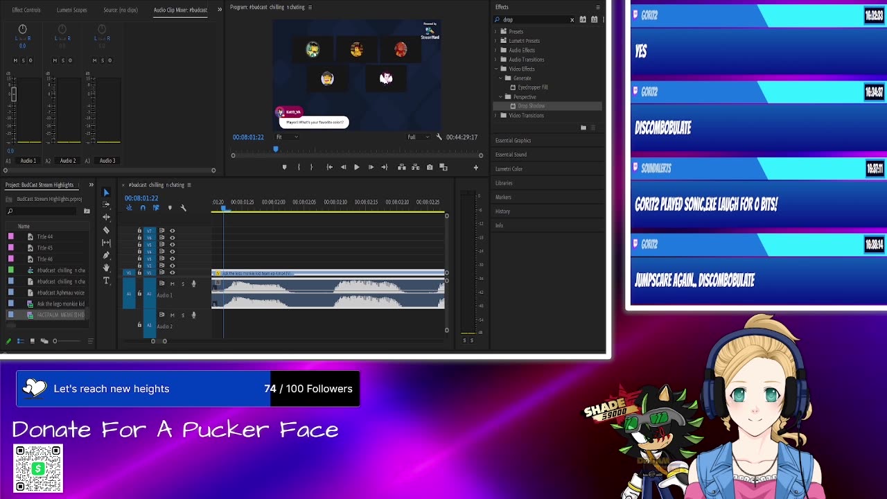 Chinchilla Joke Took A Dark Turn