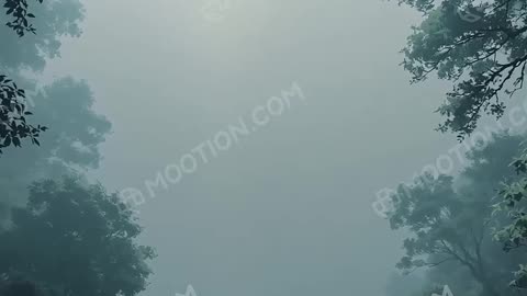 Whispers in the Fog: Eldridge Village