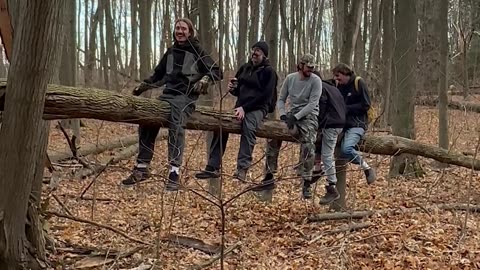 Tree-ter Totter In The Woods