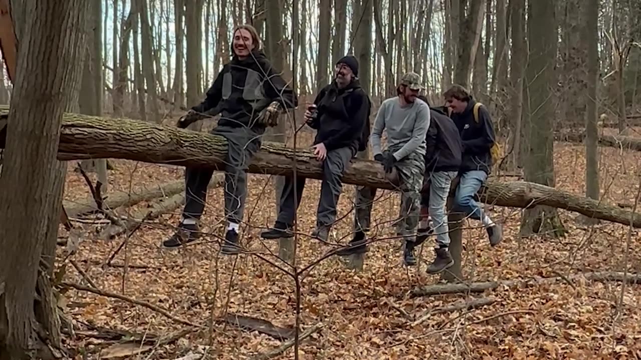 Tree-ter Totter In The Woods