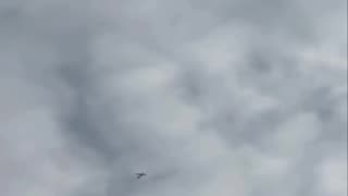 Donetsk 🦅👀