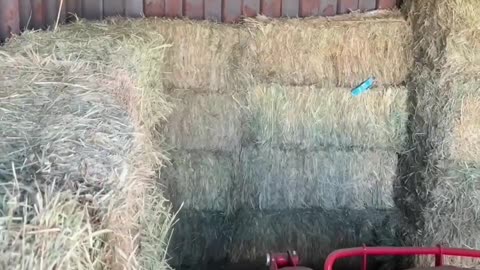 GOAT : I see it, I like it, I want it, I got it 👑💅