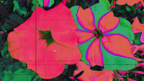 Flower Love (short poem)