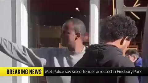 Migrant sex offender found and arrested after manhunt