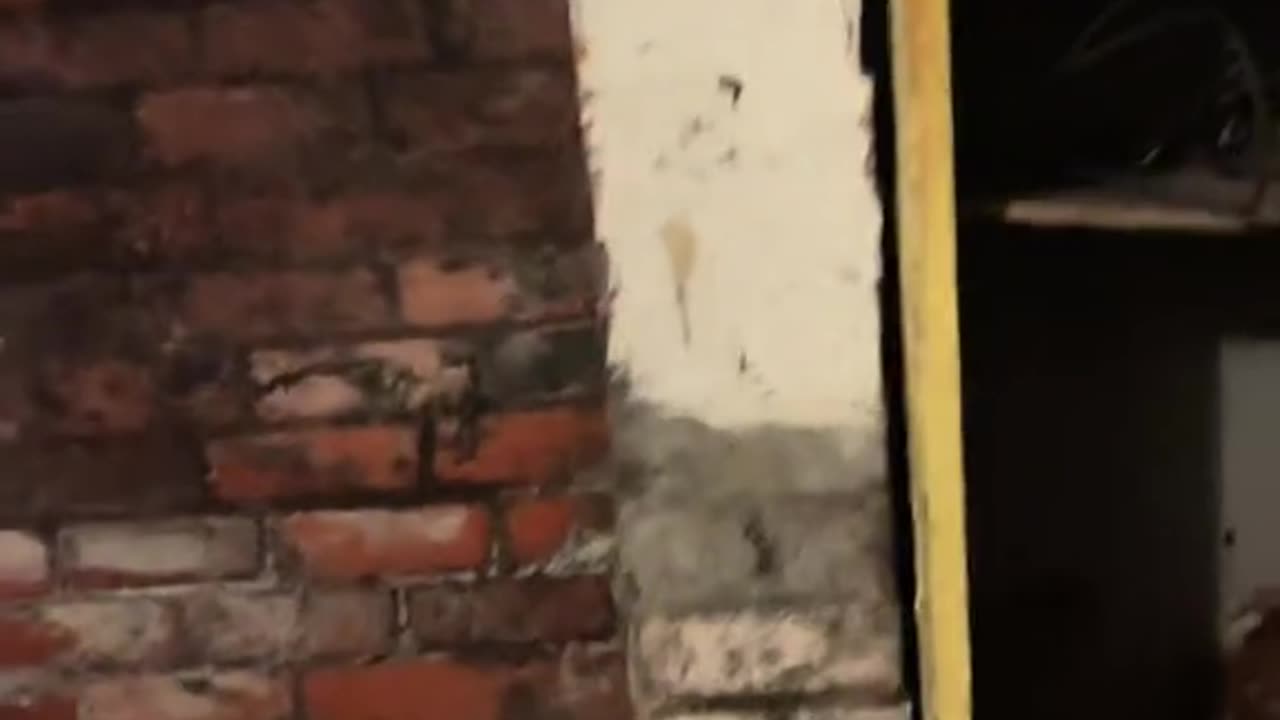 SECRET UNDERGROUND ENTRANCE
