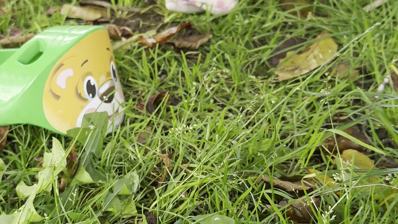 Talking to daddy while playing in the grass 💬🌿