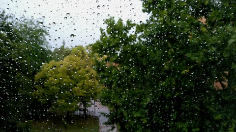 Rain Ambience and Gentle Rolling Thunder | Nature Ambience