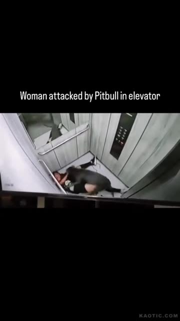 pretty girl makeover by pitbull in elevator