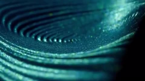 Black Hair and Hollywood