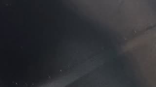 Flying with Guns Episode 43