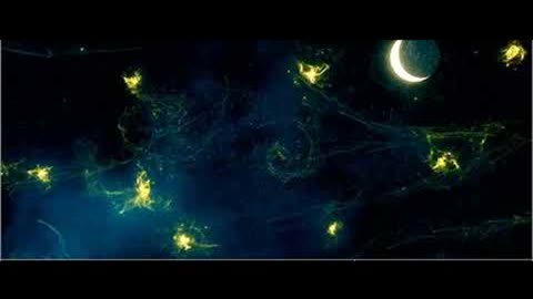 A V A L O N V3.3 100X LUMINATOR