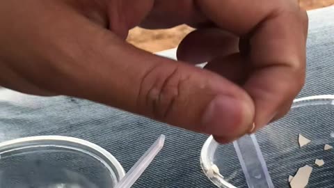 Da lat (11-1-2022) - 03