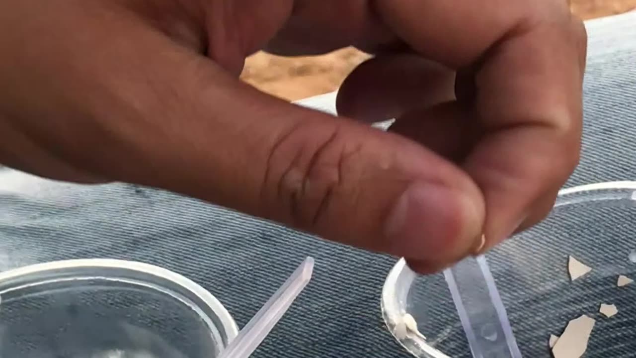 Da lat (11-1-2022) - 03