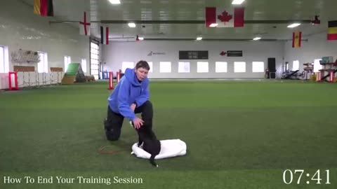 Amazing: Teach Your Puppy To Calm Down With This 7 Minute Exercise