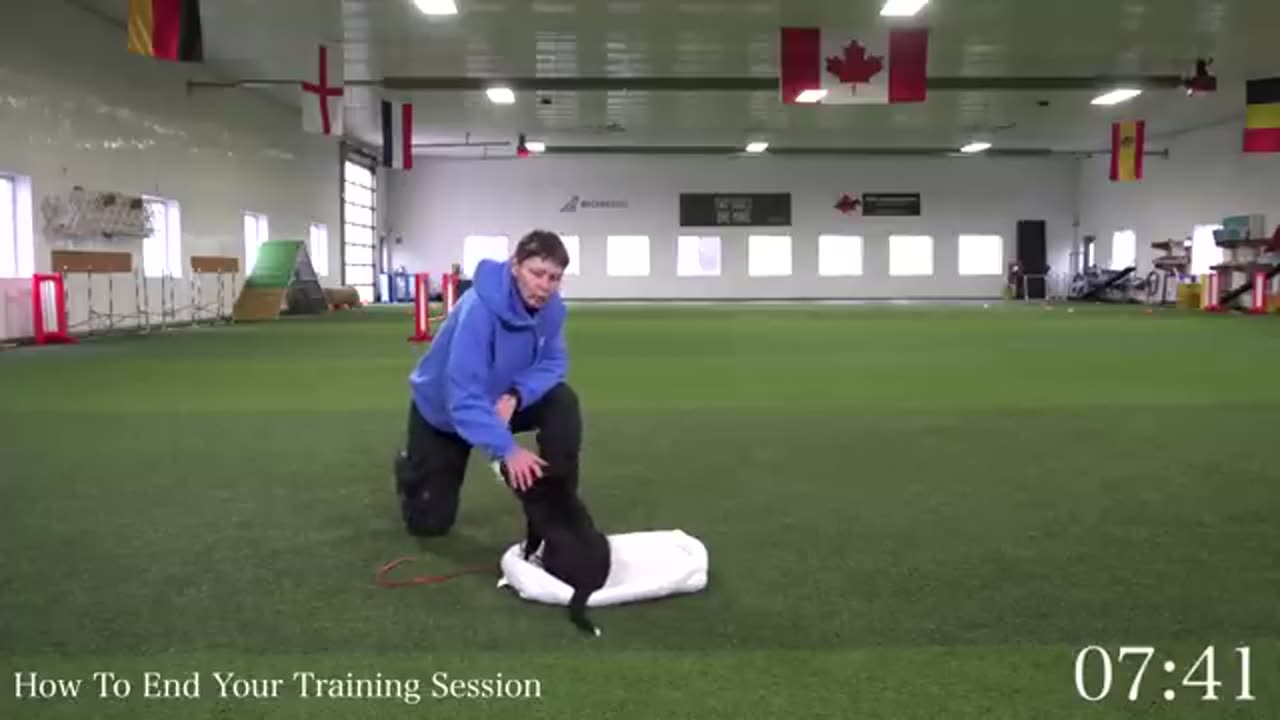 Amazing: Teach Your Puppy To Calm Down With This 7 Minute Exercise