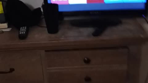 MY SMALLER TV ----DYNEX--BOUGHT IT IN NY