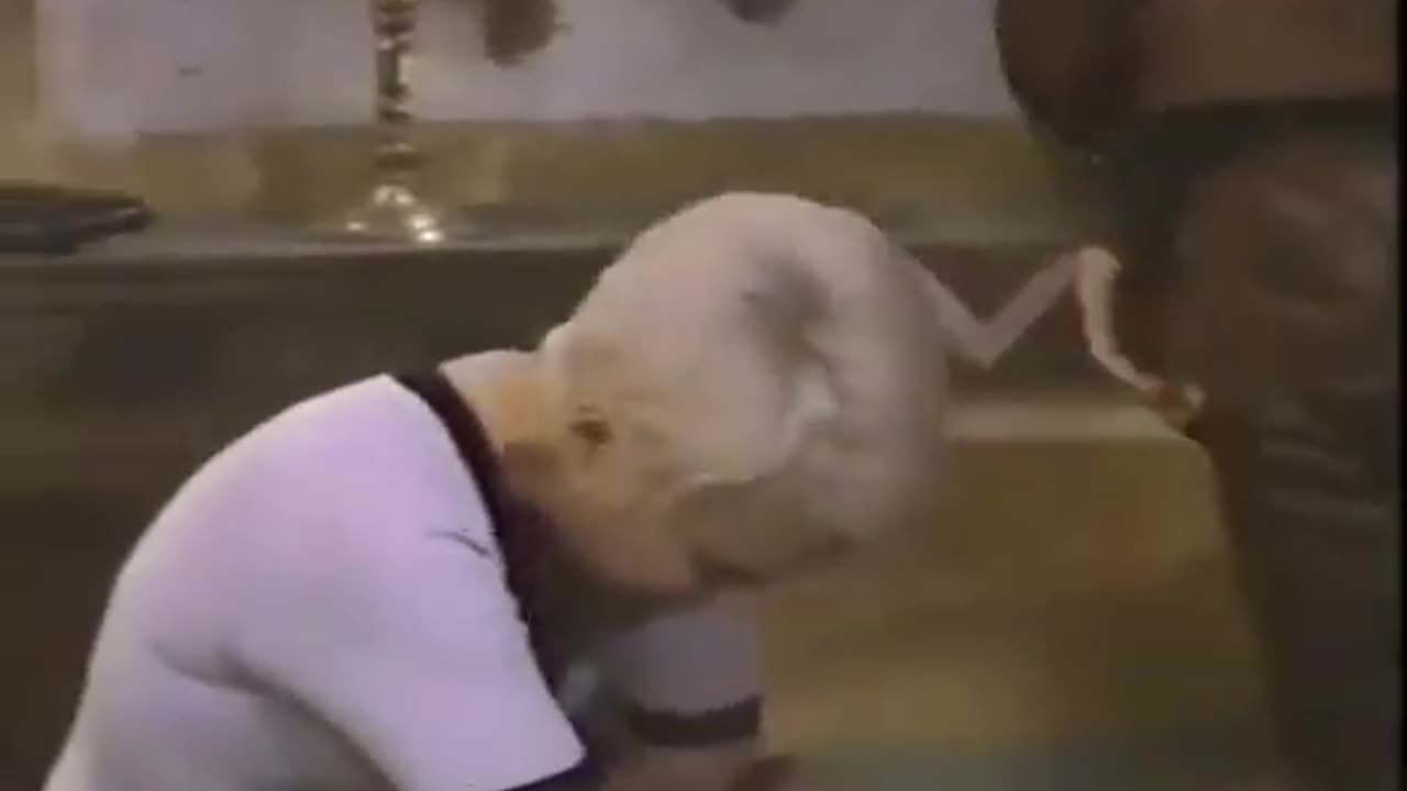 Kill! Kill! Kill! Kill! (1971) Full movie