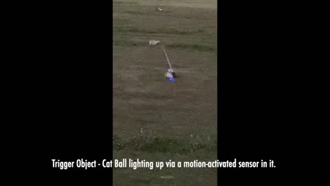 Trigger Object - Cat Ball lighting up while Making Contact