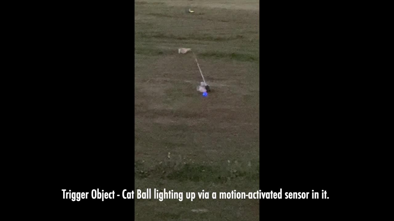 Trigger Object - Cat Ball lighting up while Making Contact