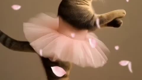 “Tiny AI Cat Performs Hilarious Ballet on a Human Hand! 😂🐱✨”