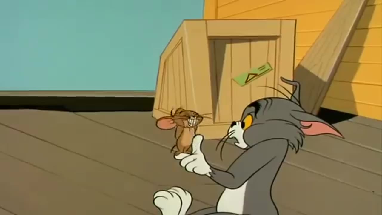 Tom and Jerry Cartoon For Kids Ball Tom 2020