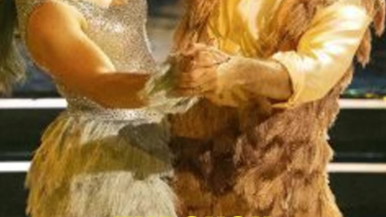 Andy Richter's Dance Dream May End in Tears Tonight