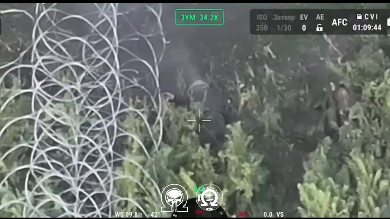 Russian Soldiers Observed Crawling Along the Wire