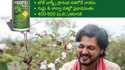 Affordable Agrochemicals In India | Agricultural Products