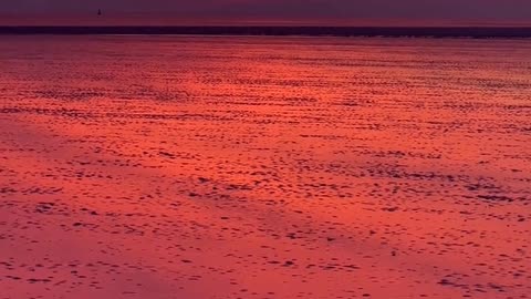 Daily Horoscope | Leo 🌟