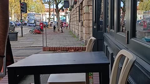 Dog terrorist gang member being reported to police