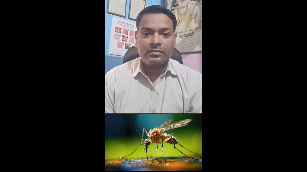 अगस्त-सितंबर का बुखार ।