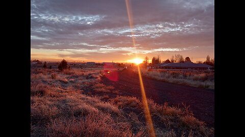 Age 7, 2nd Grade – analyze * inspire (AI/19)