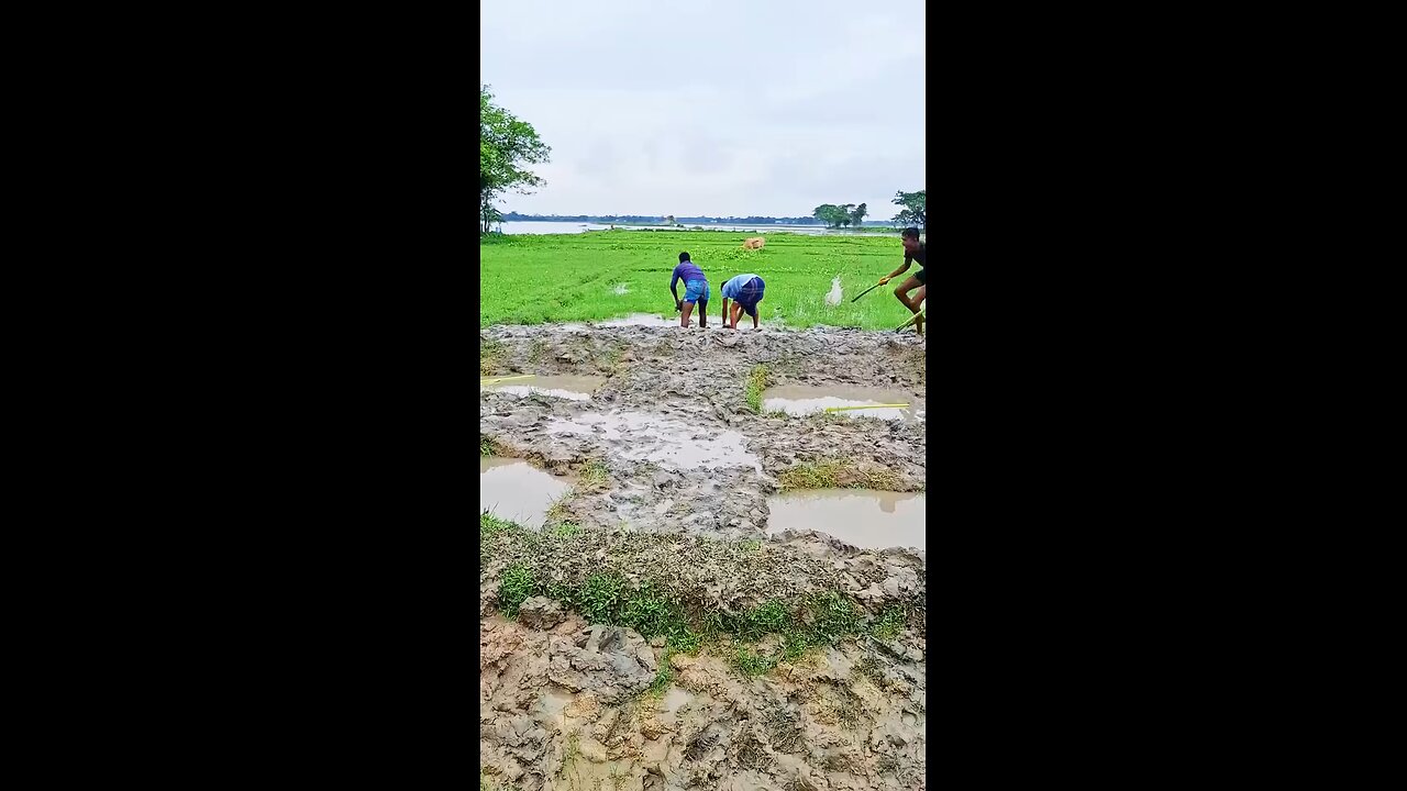 best funny entertainment comedy video