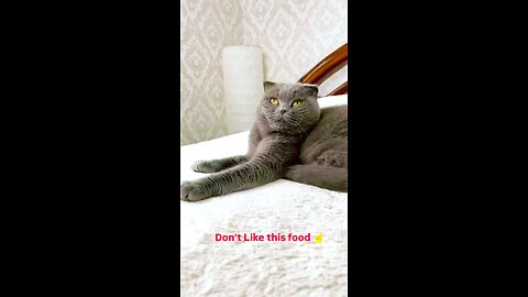 Canada Salmon & Turkey Recipe Air-Dried Food For Cats