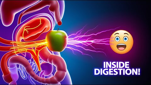 What Happens When You Eat an Apple 🍎😳 (3D Digestive Animation)