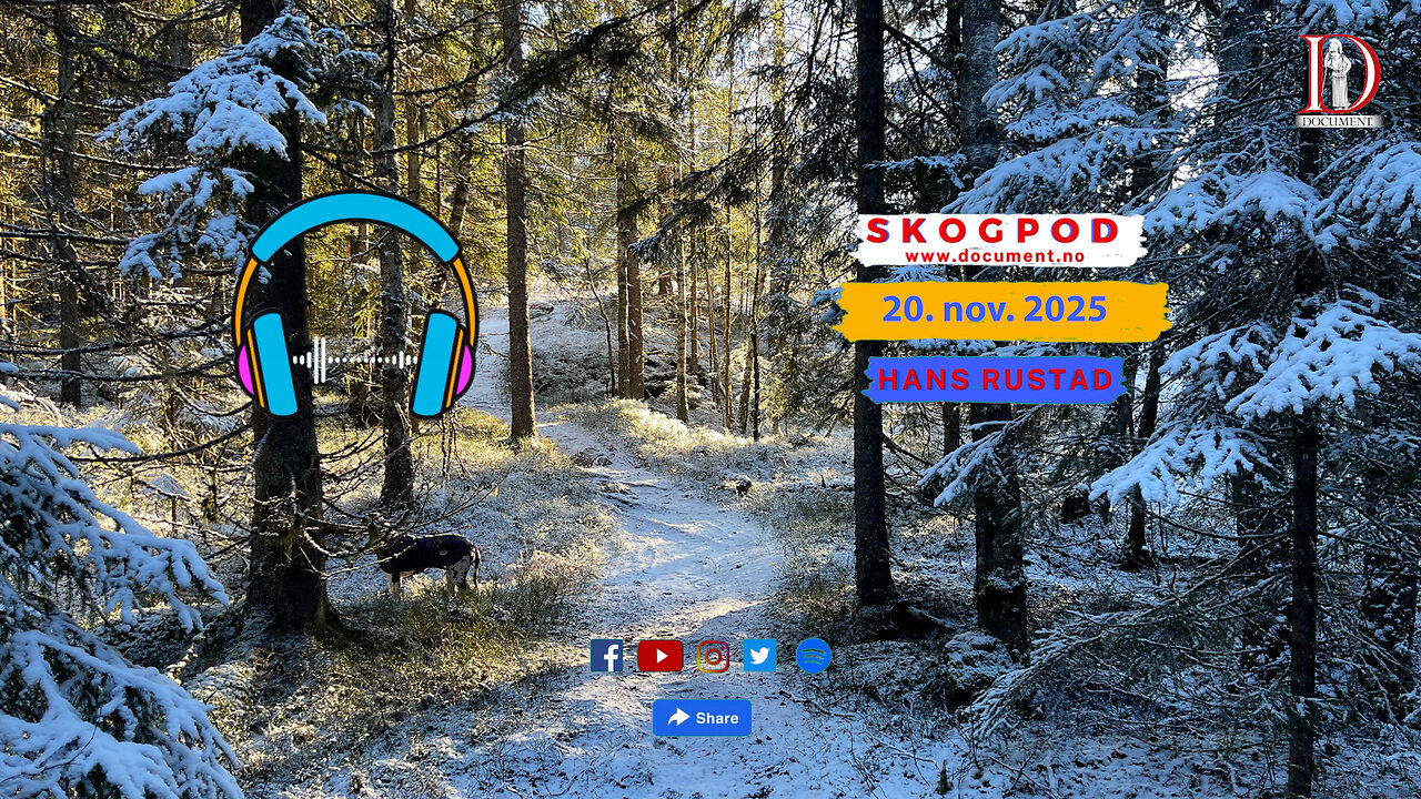 Skogpod 20. november 2025
