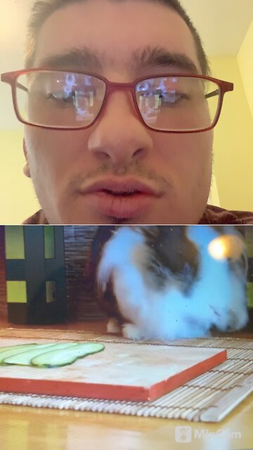 My reaction to cats eating Minecraft food