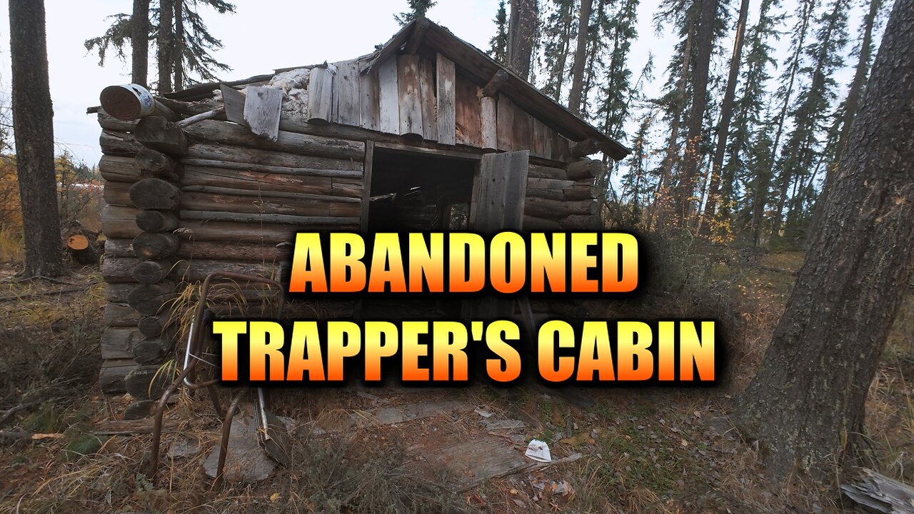 Abandoned Trapper’s Cabin in Alberta — A Piece of Canadian Trapping History